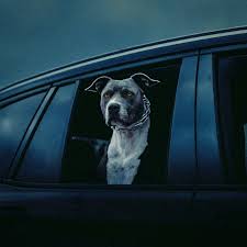 Chris Lorenzo, Kah-lo - In This Bih' (Extended) (Ableton Stencil - Tech House)